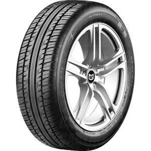 GENERAL TIRE ALTIMAX XP7 165/65 R14 79T